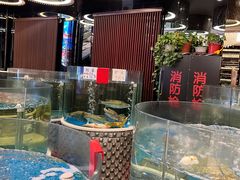 水产区-蓬川食府(金海道店)