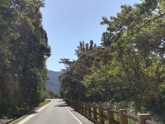 -广州市石门国家森林公园