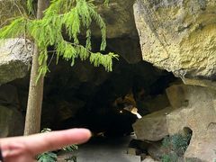 -福道