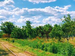 -永定河休闲森林公园