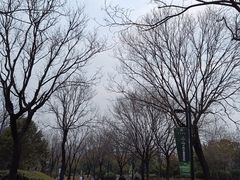 -城市运动公园(未央区)