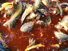 -金海椒罐罐鲢鱼(东方桂苑店)