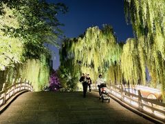 -济南大明湖景区