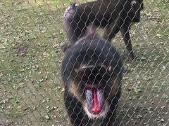 -哈尔滨北方森林动物园