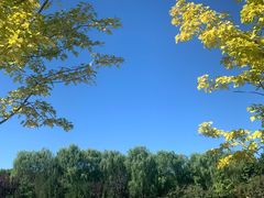 -永定河休闲森林公园