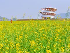 -光明小镇欢乐田园