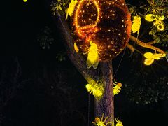 -梁鸿国家湿地公园