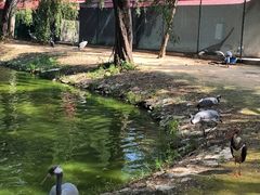 -秦皇岛野生动物园