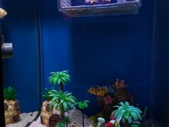 -上海海昌海洋公园