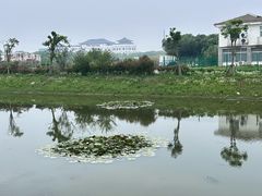 -南汇嘴观海公园