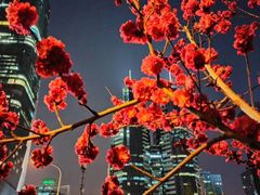 -中央广播电视总台(光华路办公区)