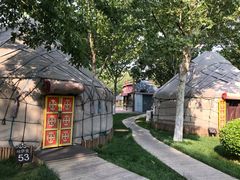 -九十九顶毡房(阜石路店)