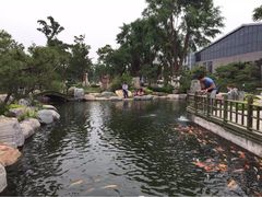 iphone_upload_pic-中国唐苑