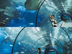 -福州罗源湾海洋世界旅游区