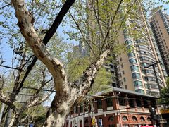 -汪记鲜鱼糊汤粉(沈阳路总店)