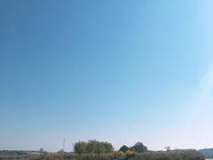 -西青郊野公园