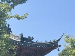 -焦山风景区
