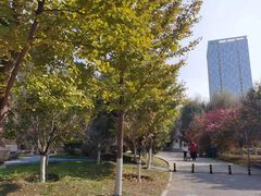 -长白岛森林公园