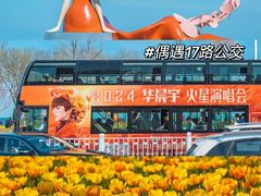 -烟台金沙滩海滨公园