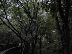 -台州府城(江南长城)