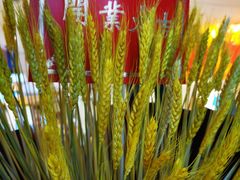 -麦当劳(顾村公园店)