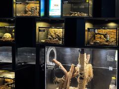 -太平洋海底世界