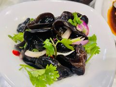 -金鼎轩(亚运村店)