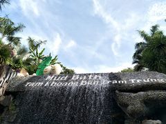 -100蛋泥浆浴