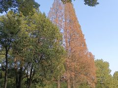-上海师范大学西部食堂