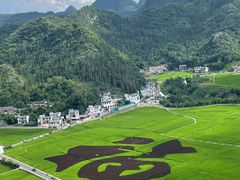 -万峰林风景区