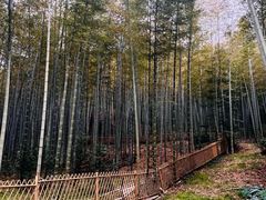 -黄公望隐居地