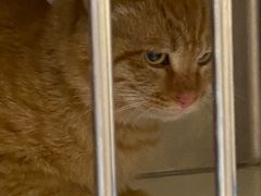 -萌兽医馆·犬猫专科·眼科中心·宠物医院(朝阳门分院)