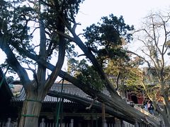-晋祠公园