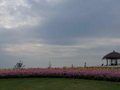 -径山花海