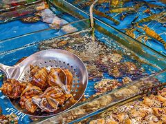 -粤盛海鲜平价店(洛溪食街店)