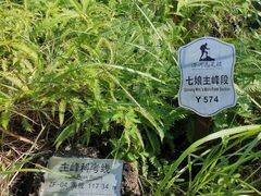 -七娘山