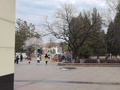 -二一九公园