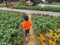 -广州市石门国家森林公园