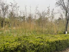-燕郊植物园