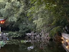 -青龙山国家森林公园
