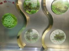 -上海昆虫博物馆