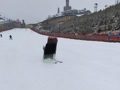 -采薇庄园四季滑雪场