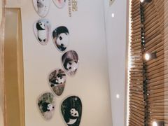 -成都大熊猫繁育研究基地
