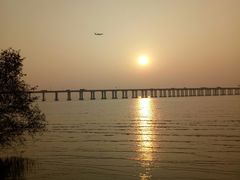 -宝安西湾红树林湿地公园