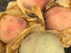 -南汇新场正宗水蜜桃采摘