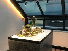 -大树餐厅(红旗街万达店)