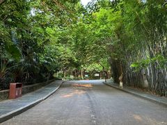 -水濂山森林公园