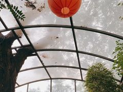 -zarah(鼓楼店)