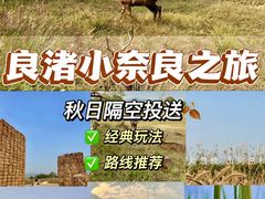 -良渚古城遗址公园