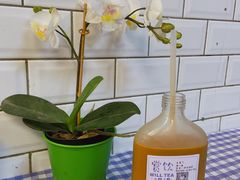 超级好饮冻奶茶-赏饮·WILL TEA